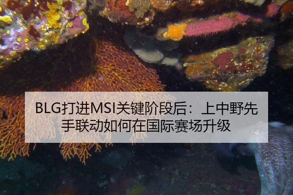 BLG打进MSI关键阶段后：上中野先手联动如何在国际赛场升级